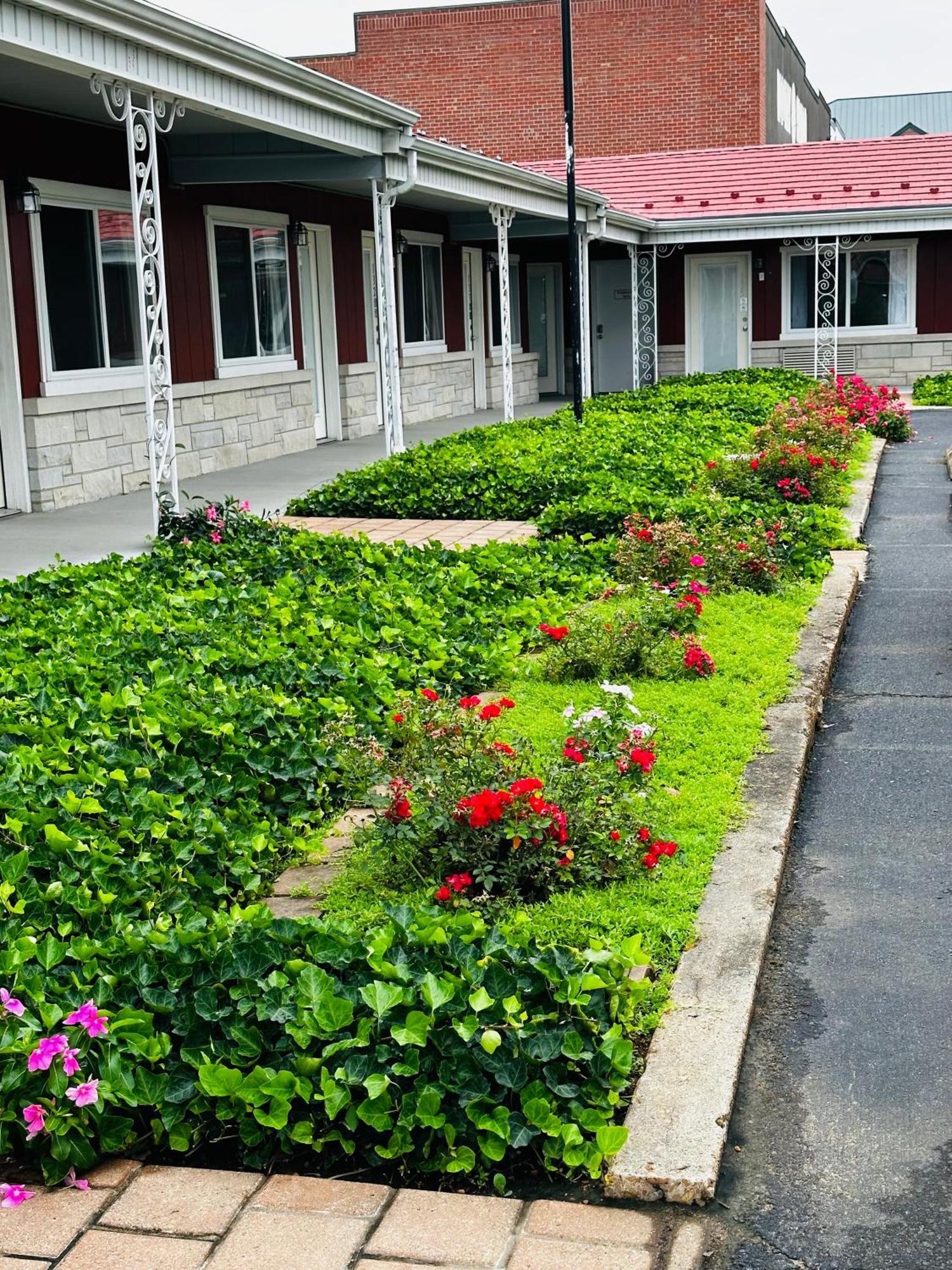 Murray Inn And Art Gallery Dış mekan fotoğraf